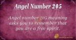 Angel Number 205 Meaning: Maximize Your Strengths